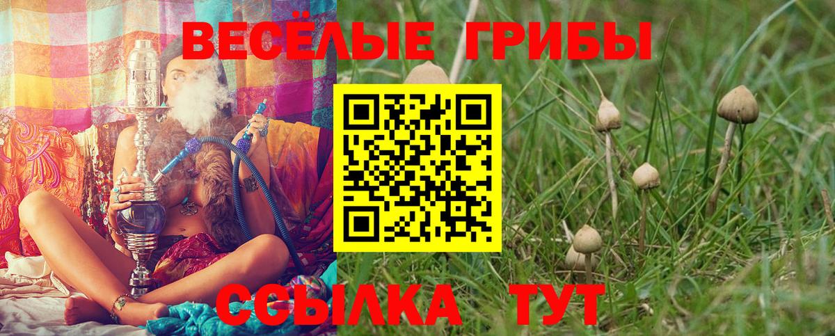 дарнет шоп  Вход с VPN  Шарыпово  Псилоцибиновые грибы MAGIC MUSHROOMS  Галлюциногенные грибы прущие грибы 