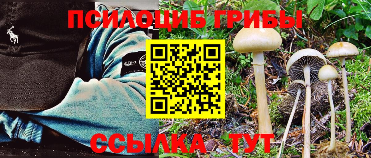 Псилоцибиновые грибы Magic Shrooms Шарыпово